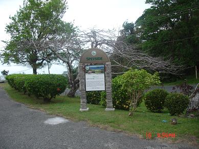 Description of image