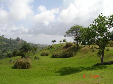 Description of image