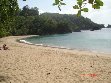 Englishmans Bay Beach